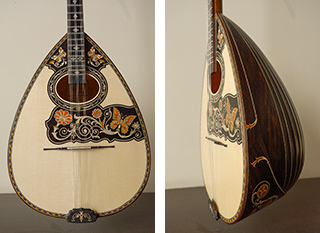 Τρίχορδο μπουζούκι από Βραζιλιάνικο Παλίσανδρο