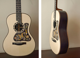 Λαϊκή κιθάρα από Ινδικό Παλίσανδρο