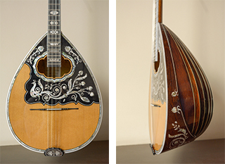 4 strings bouzouki from Brazilian Rosewood