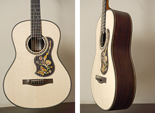 Λαϊκή κιθάρα από Ινδικό Παλίσανδρο