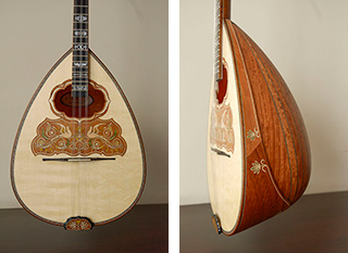 3 strings bouzouki from eucalyptus pomele