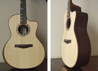 Acoustic guitar Indian rosewood